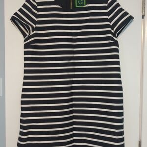 Navy and White Striped Dress